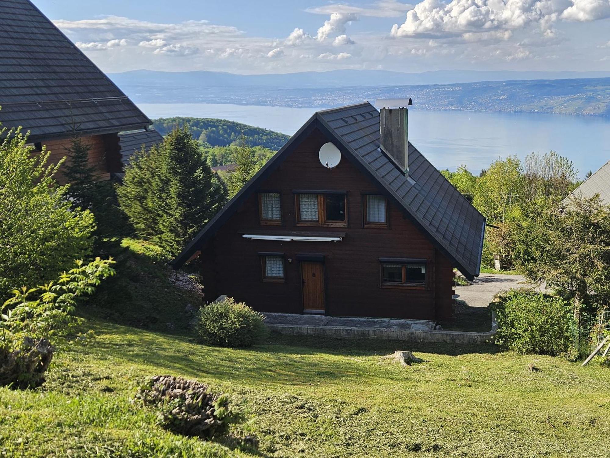 Chalet Les Alpages Vue Panoramique Sur Le Lac Leman Thollon-les-Memises Exterior foto